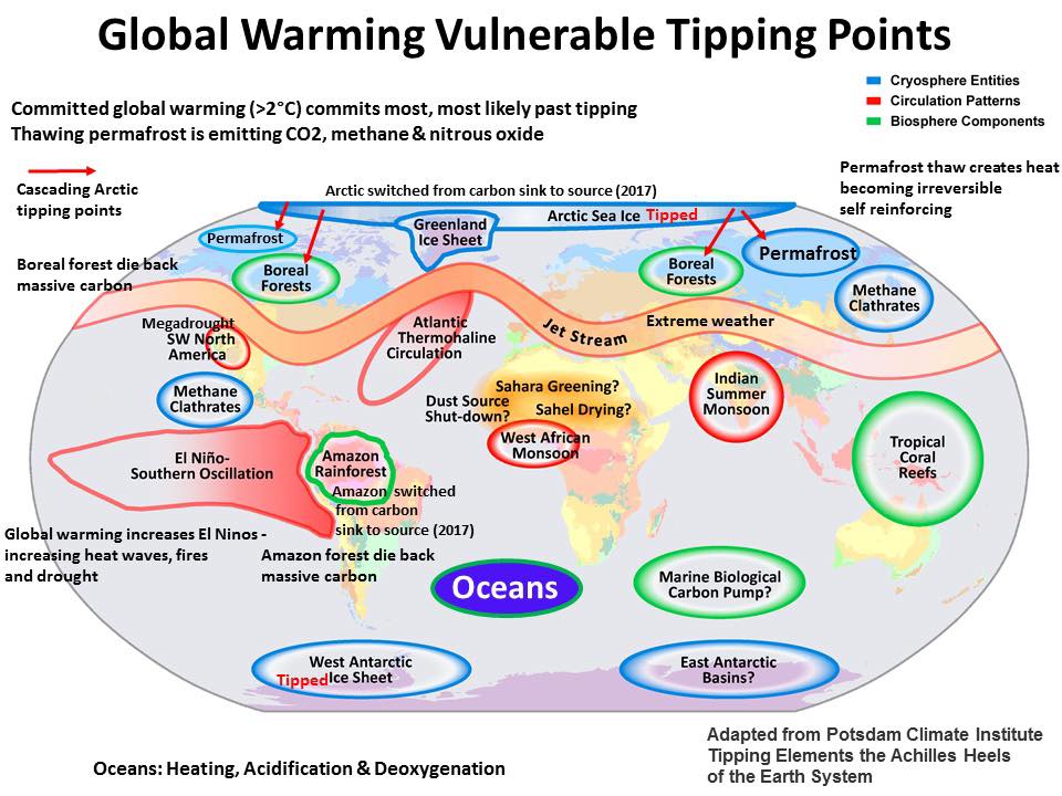Global Warming Vulnerability Carbon Sinks Numbers
